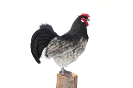 Alsace Huhn aus Plüsch von Hansa 6037 34 cm. - 1