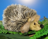 Igel Hedgehog Plüschtier 15 cm grau - 1