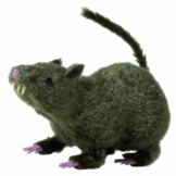 Widmann 7795U - Deko Ratte, circa 21 cm - 1