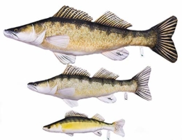 Gaby DER Zander Sander Lucioperca Kuscheltier Stofftier Fisch Polyester (110cm) - 1