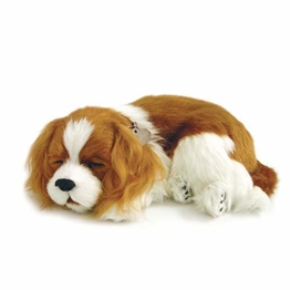 Perfect Petzzz Soft Cavalier King Charles - 1