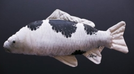 Plüschtier Koi Utsuri Kuscheltier Schwarz Weiß Ornamente 65cm - 1