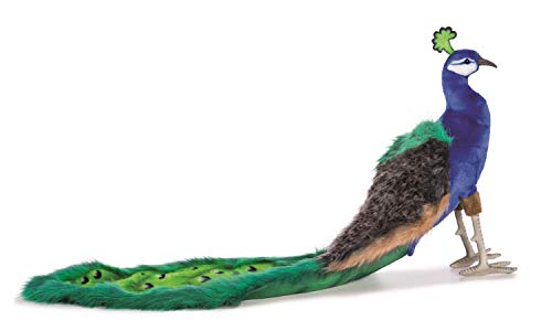 Hansa Plüsch-Pfau, 33 Cm Lang – Realistischer Vogel Mit Gestell, Perfekt Als Deko Oder Geschenk