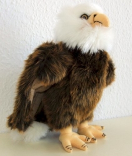 Weißkopfseeadler Adler 26 cm Schmusetier Plueschtier Kuscheltier EAGLE - 1